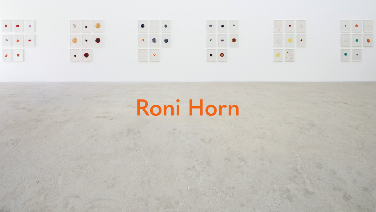 Roni Horn