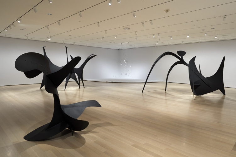 <strong>Alexander Calder, Subject of a Major Solo Retrospective at the Museum of Modern Art, New York</strong>