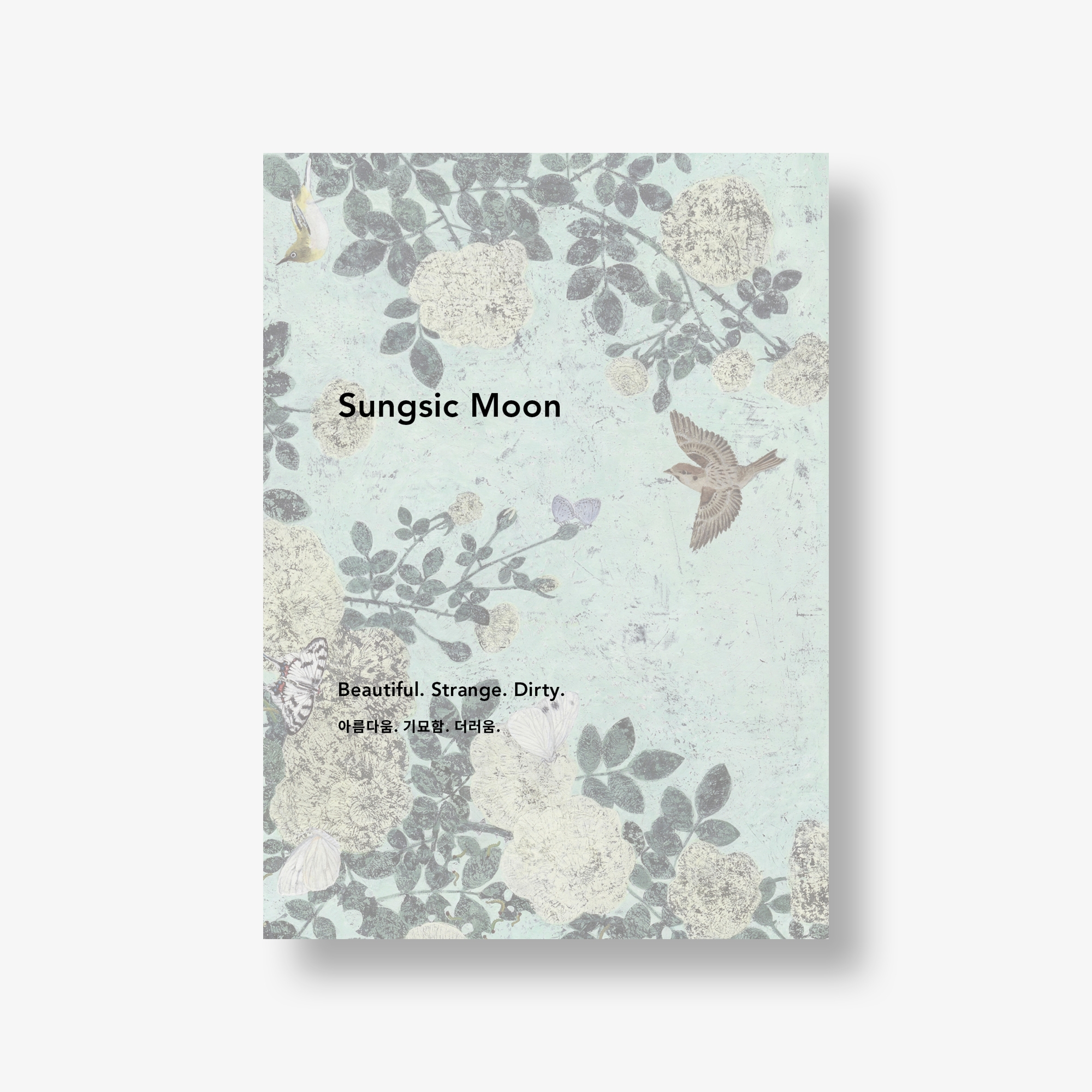 Sungsic Moon: Beautiful. Strange. Dirty.