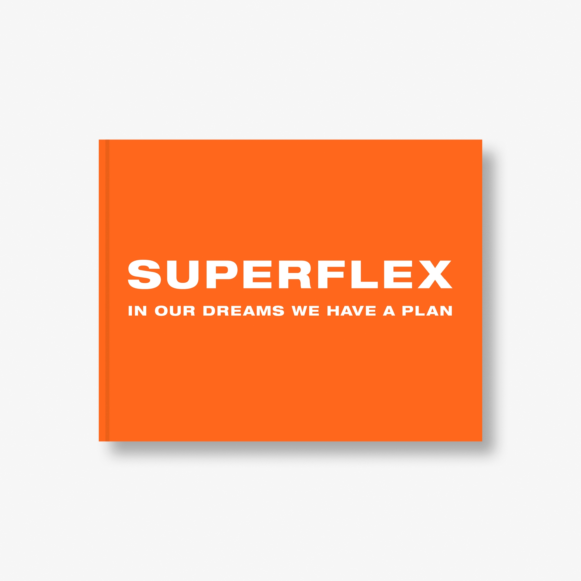 SUPERFLEX: In our dreams we have a plan